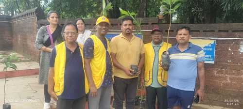 Plant Distribution by LCB New Horizon